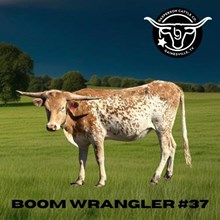 Boom Wrangler SS