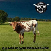 BG Charlie Wiregrass